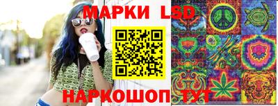 амф Заволжье