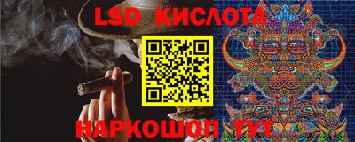 амф Заволжье