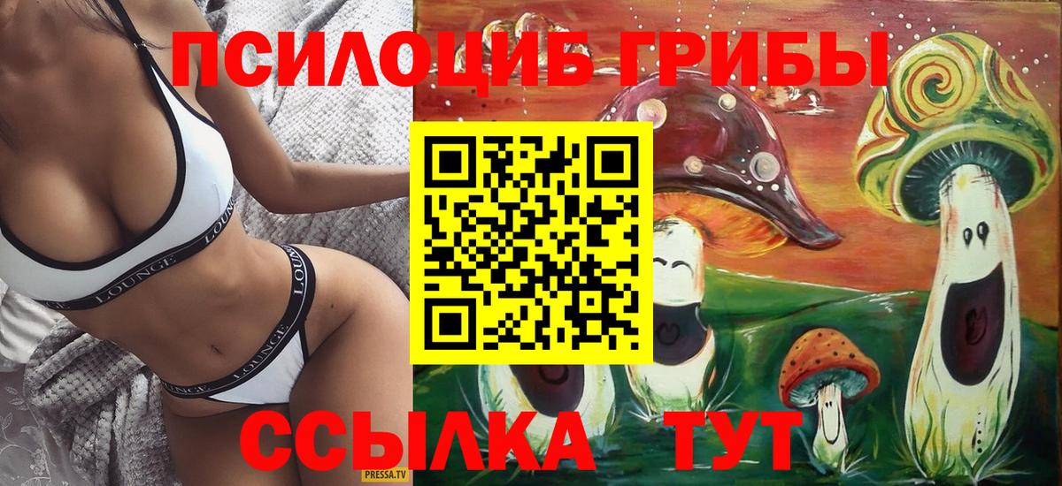 Псилоцибиновые грибы Psilocybe  Вход с VPN  Миллерово 