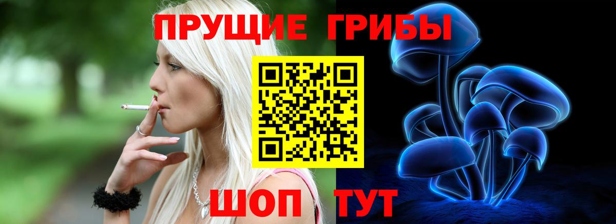 Галлюциногенные грибы GOLDEN TEACHER Миллерово